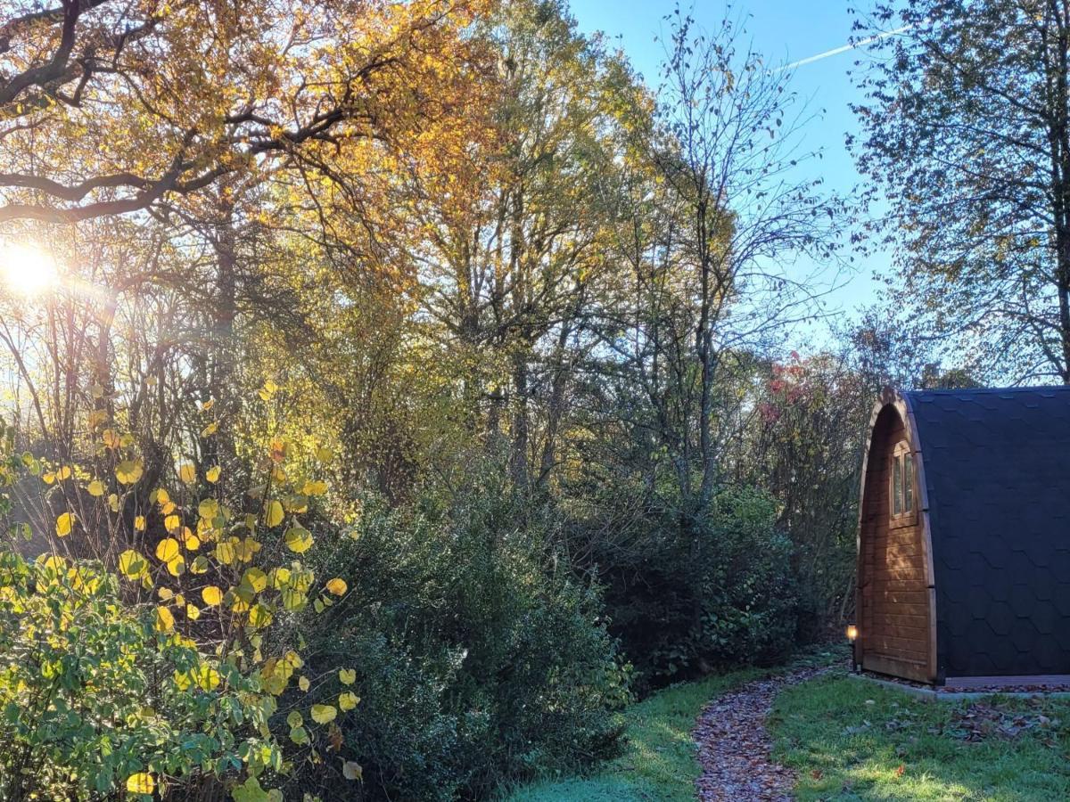 Pods Alte Schule Lägenhet Elchweiler Exteriör bild