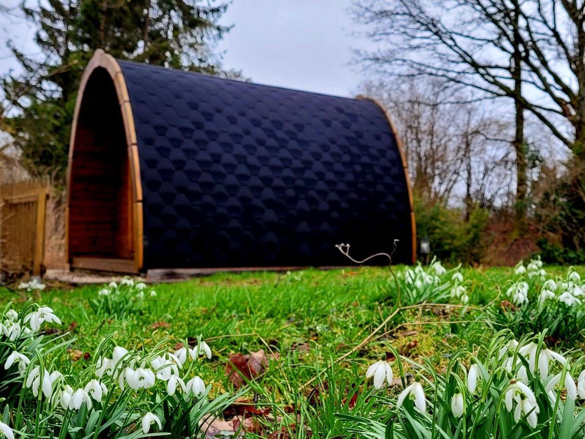 Pods Alte Schule Lägenhet Elchweiler Exteriör bild